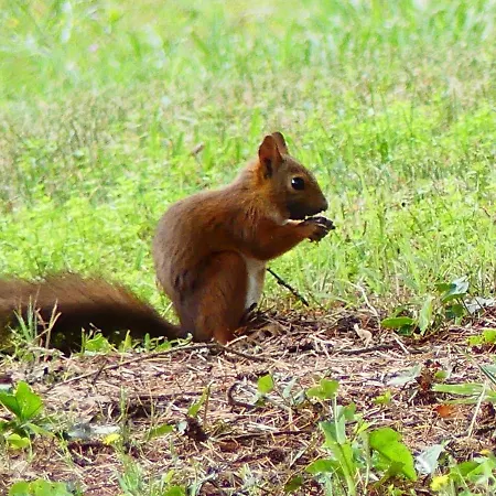Le Parc A Parking Prive