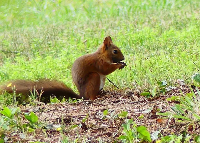 Le Parc A Parking Prive